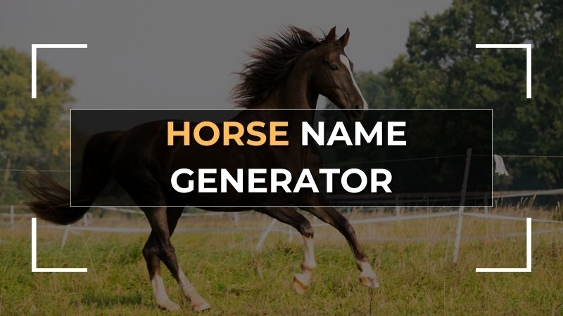 horse-name-generator-find-unique-names-fast